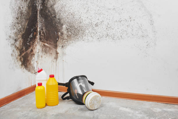 Best Mold Testing  in Fredericktown, OH