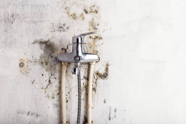 Best Mold Testing  in Fredericktown, OH