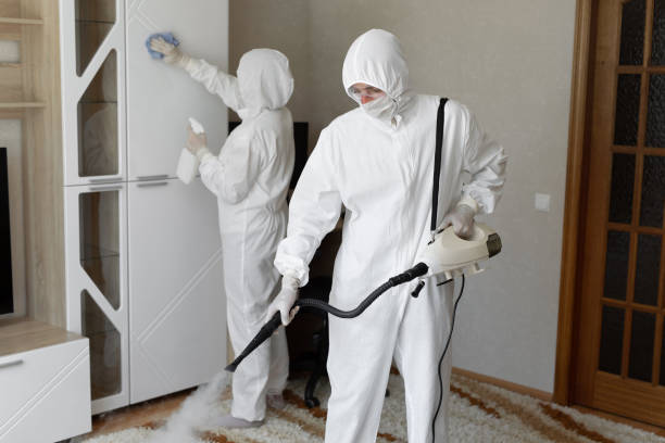 Best Professional Mold Removal  in Fredericktown, OH