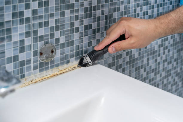 Best Certified Mold Removal  in Fredericktown, OH