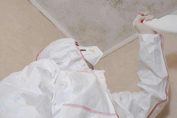 Best Local Mold Removal Service  in Fredericktown, OH