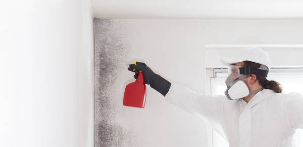 Best Mold Damage Repair  in Fredericktown, OH