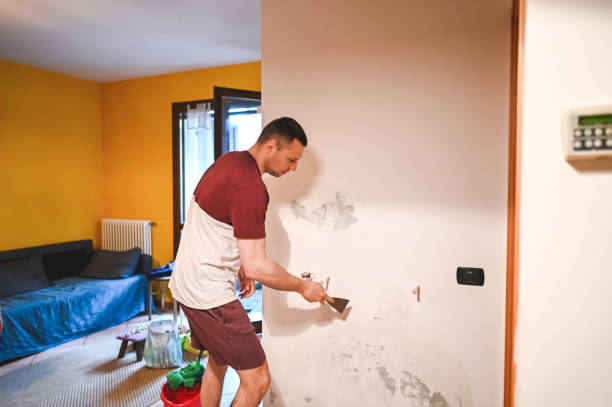 Best Mold Removal Process  in Fredericktown, OH