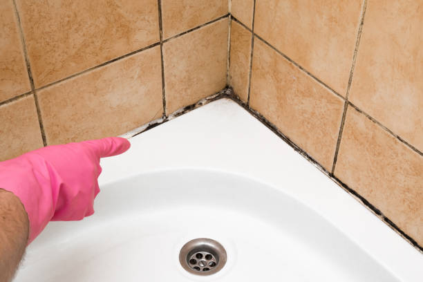 Best Mold Testing and Removal  in Fredericktown, OH